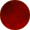101796 - CHERRY SHELL CORDOVAN - E