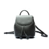 309113 - BLACK COUNTRY CALF